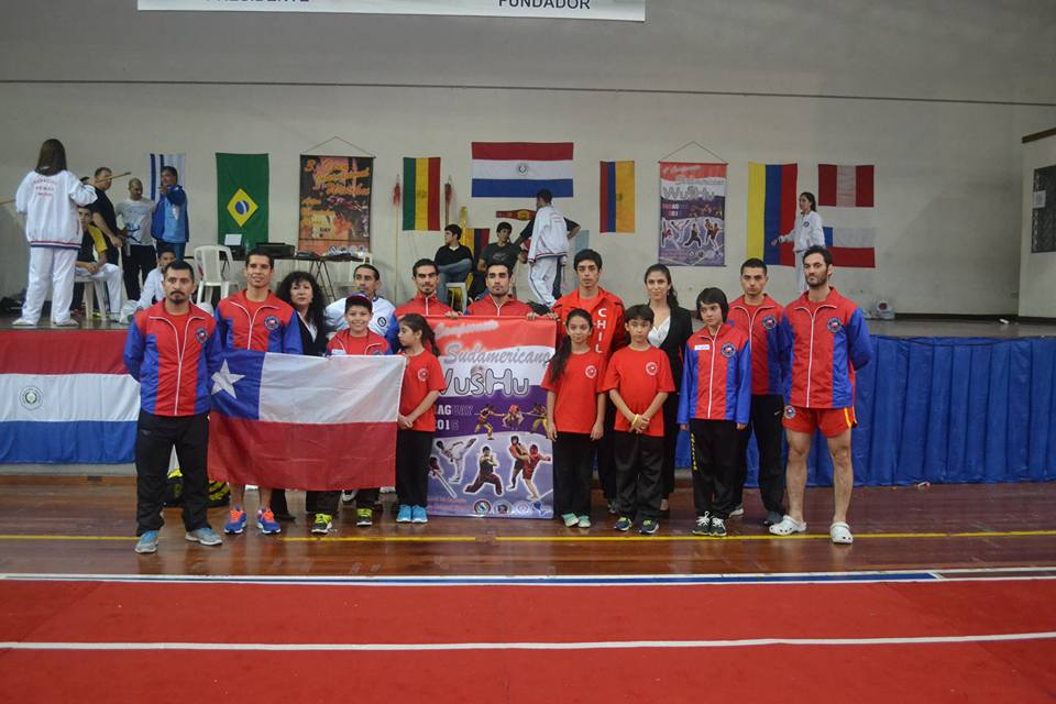 Chile obtuvo el quinto lugar en el Sudamericano de Wushu